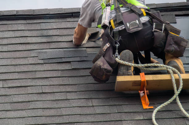 Reliable Roof Inspection contractor in Stanchfield, MN by Brentwood Metal Roofing